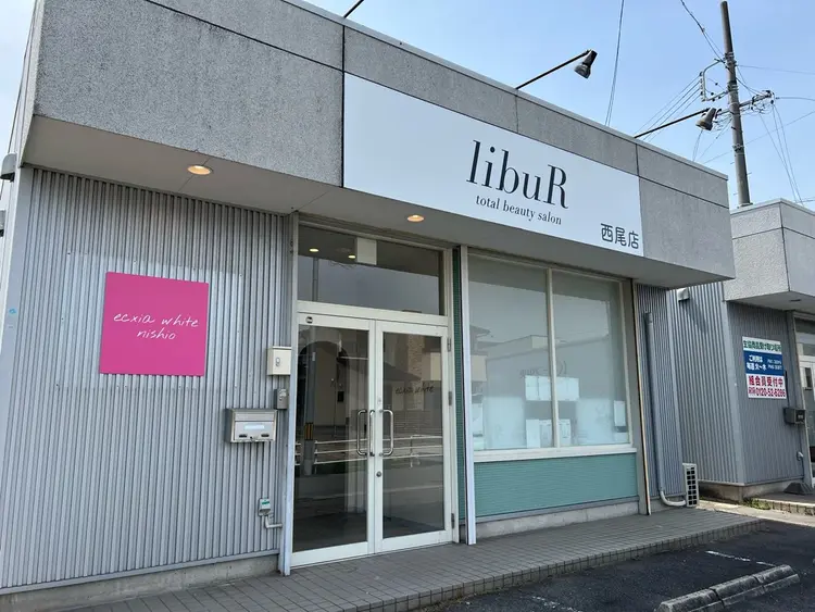 エクシアホワイト西尾の内観・外観1