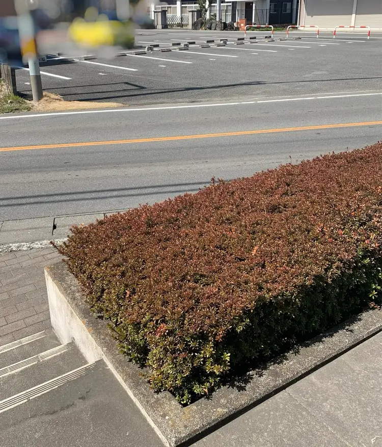 ATTRICE昭和店の内観・外観2