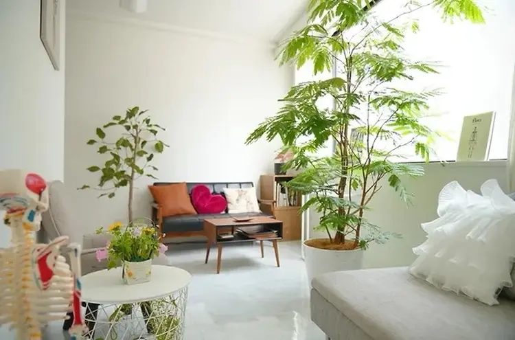 Mani di Fataの内観・外観2