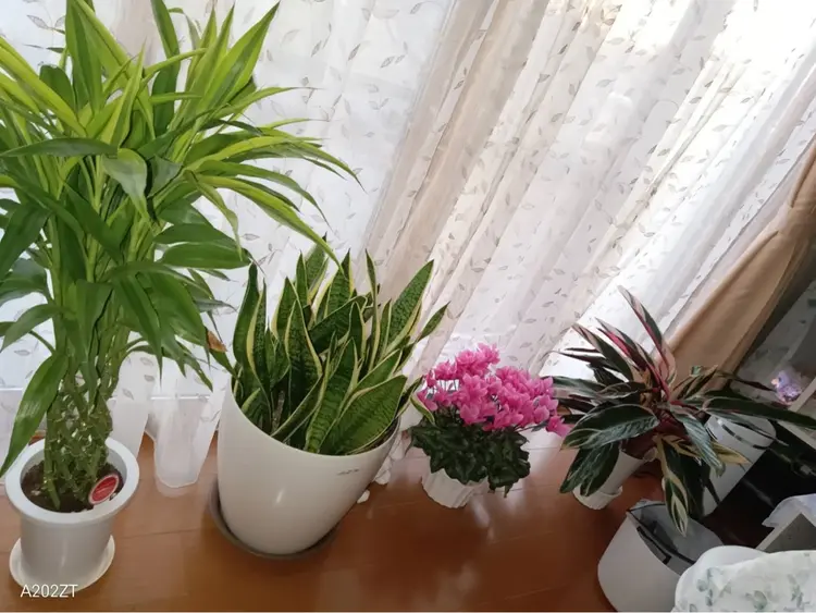 ネイルサロンeaseの内観・外観3