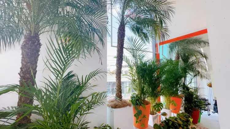 LOWEの内観・外観1