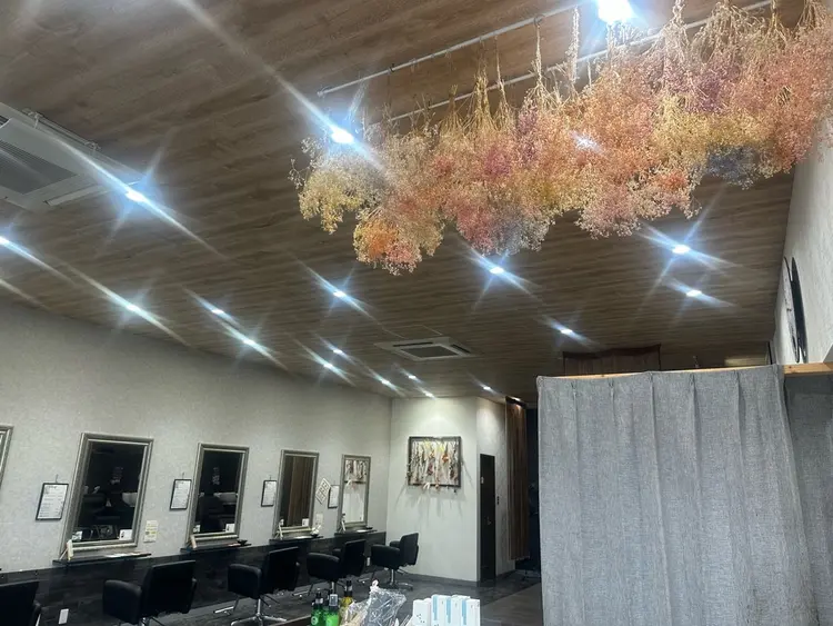 エヌプランツイズミフチュウの内観・外観3