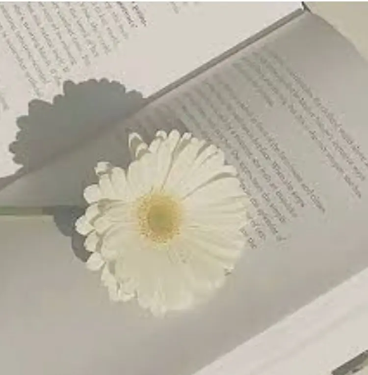 サロン.ド・30の内観・外観3