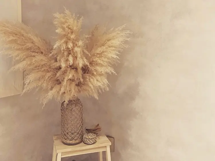 Lionessの内観・外観1