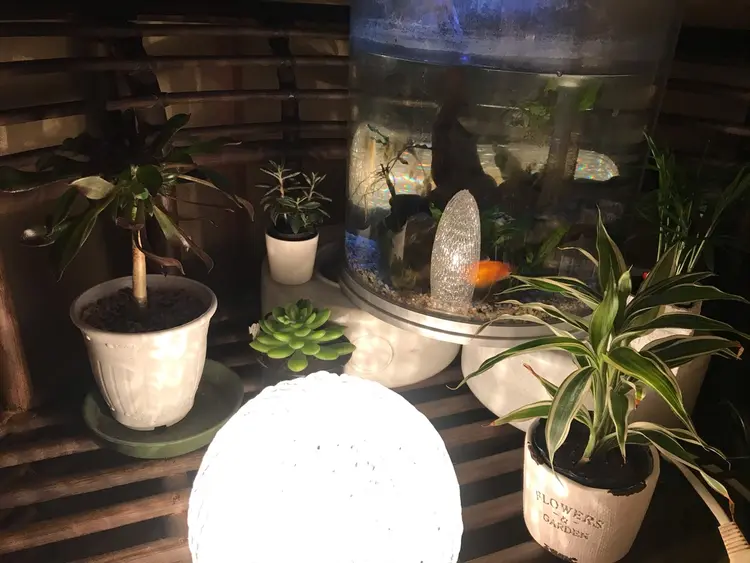 Pour Toujoursの内観・外観2