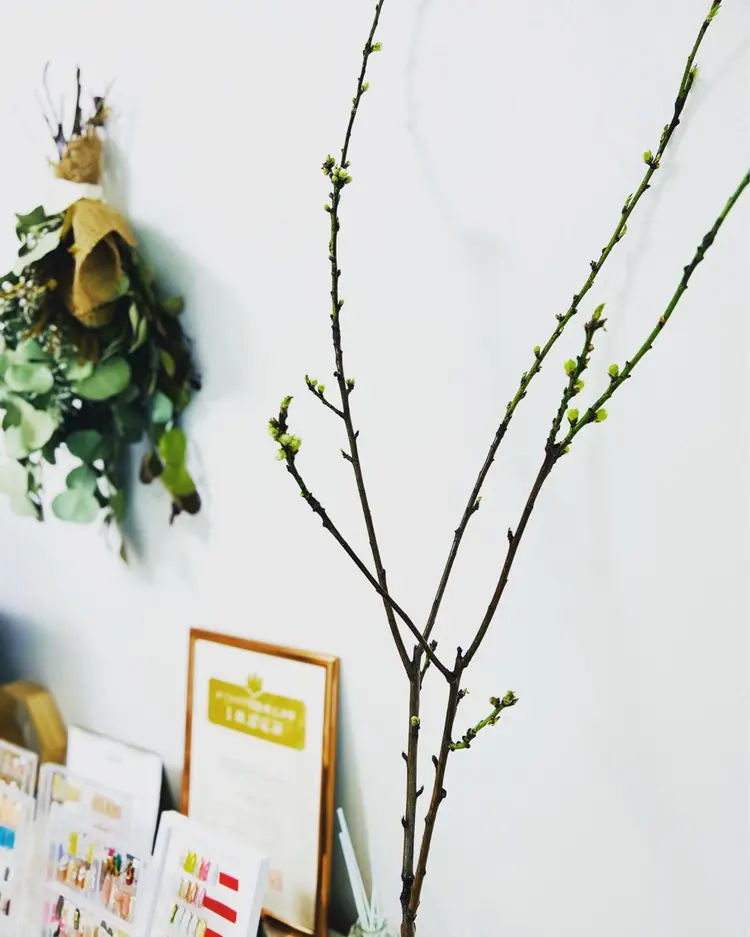 private salon matao nailの内観・外観2