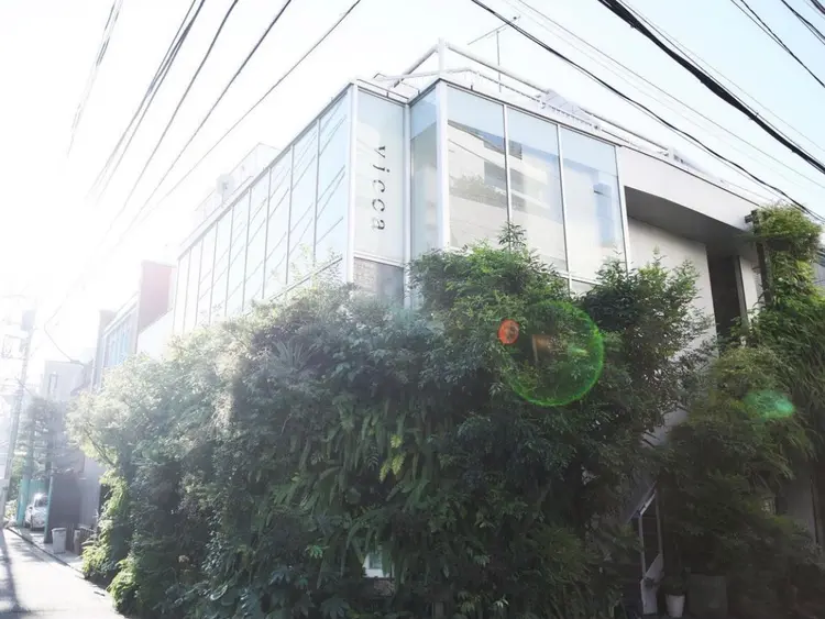 vicca'ekoluの内観・外観1