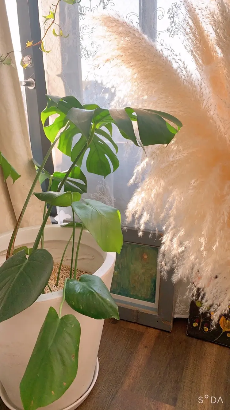 pipi..の内観・外観3