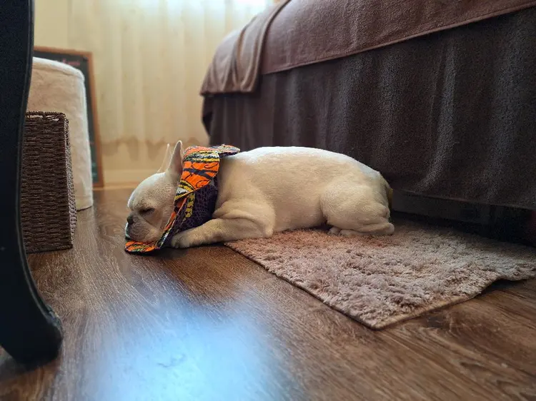 Private Salon Kukkaの内観・外観1