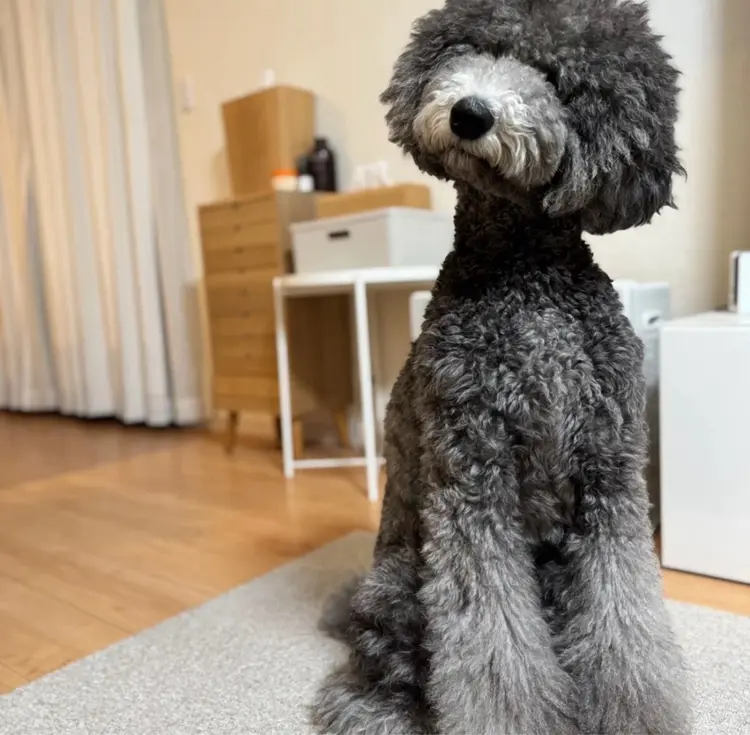 Atelier S.の内観・外観2