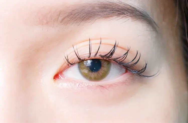 bell zellの内観・外観1