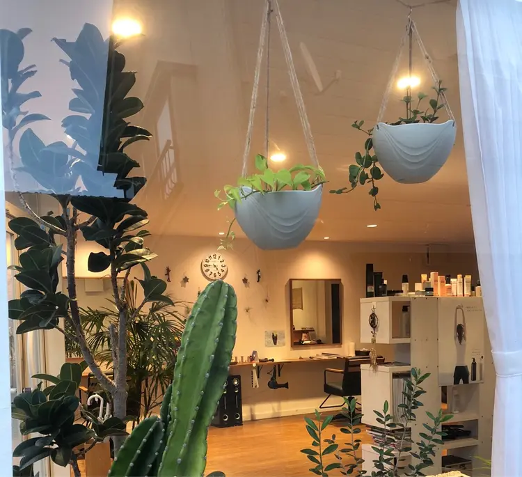 ヘアーサロン　ココペリの内観・外観1