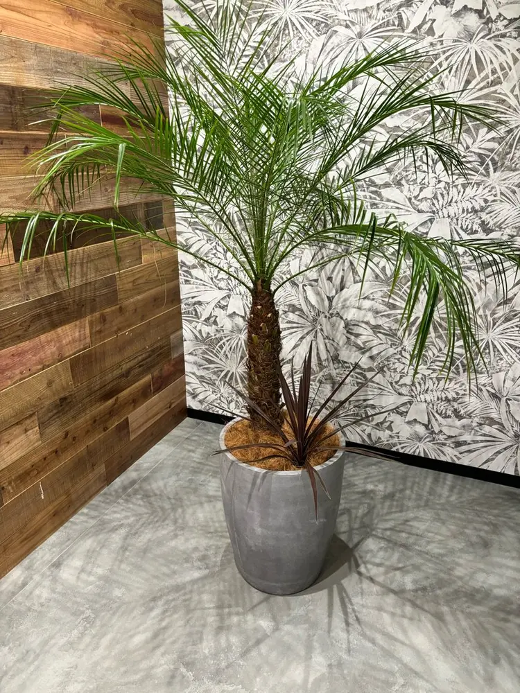 Welila by hakuの内観・外観3