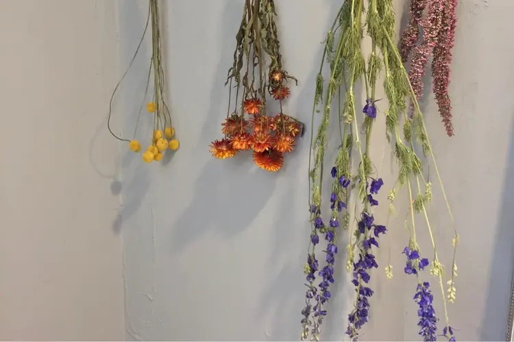 AMI Hair Supplyの内観・外観3