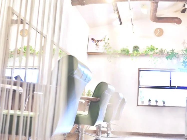 SOLOの内観・外観1