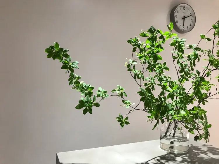 moi-meme.soeの内観・外観2