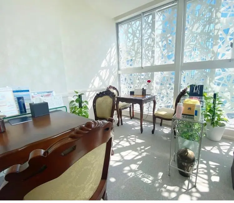 生体電流ケア(ナノカレント) 脱毛 痩身エステサロン エステティック アントワネットの内観・外観1