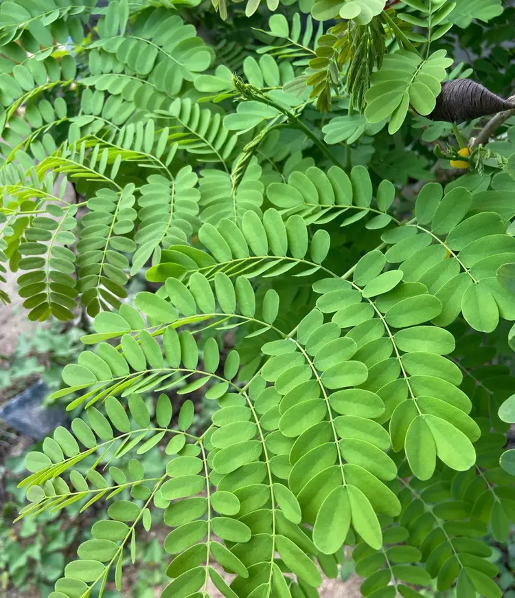 fully nakameguroの内観・外観3