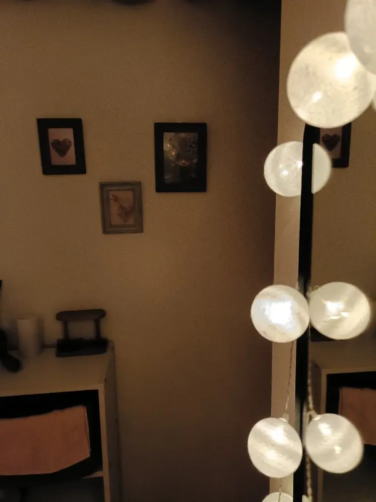 lei.pirica　草加新善町　（レイピリカ草加新善町)の内観・外観3