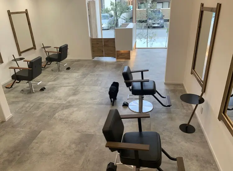 SOLの内観・外観2