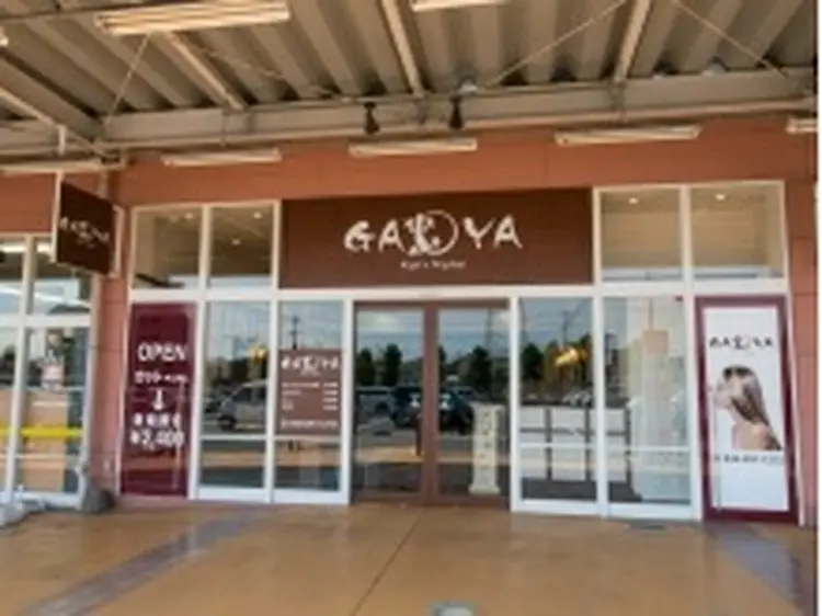 GAYAの内観・外観2