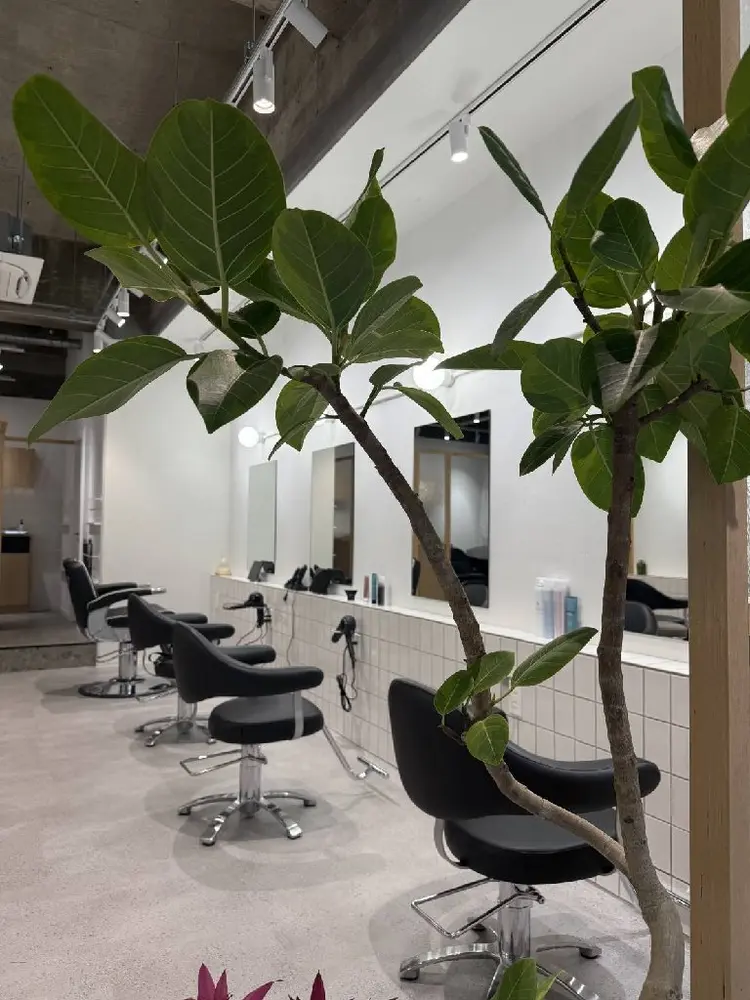 vague  by toriの内観・外観2