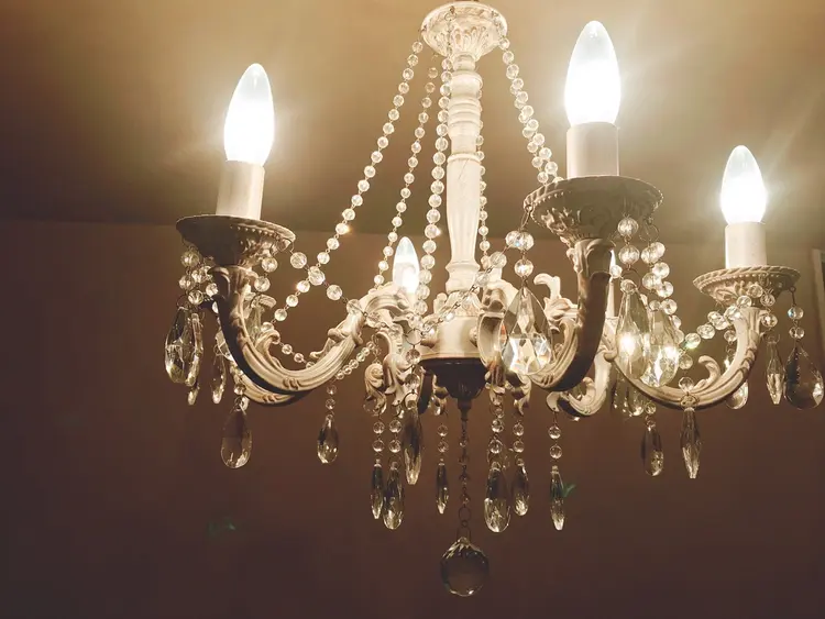 salon de  den phal〜デンファレ〜の内観・外観1