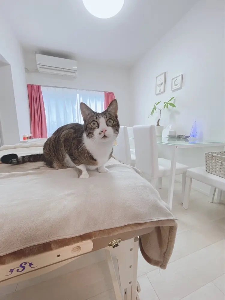 privatesalon bouquetの内観・外観3