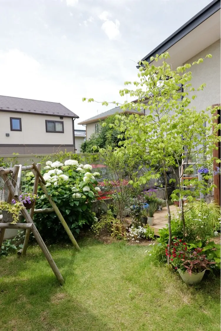 koide  family  studioの内観・外観3