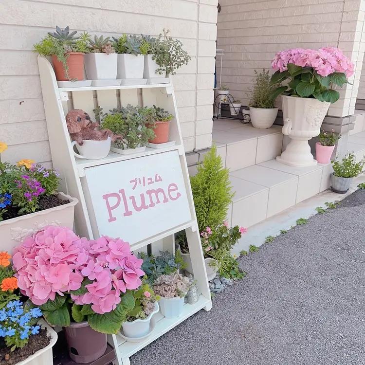Plume(プリュム)の内観・外観1