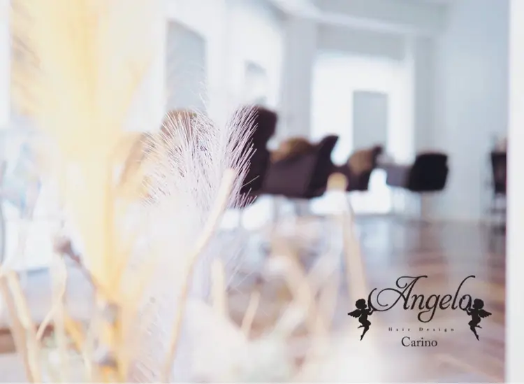Hair Design  Angelo  Carinoの内観・外観2