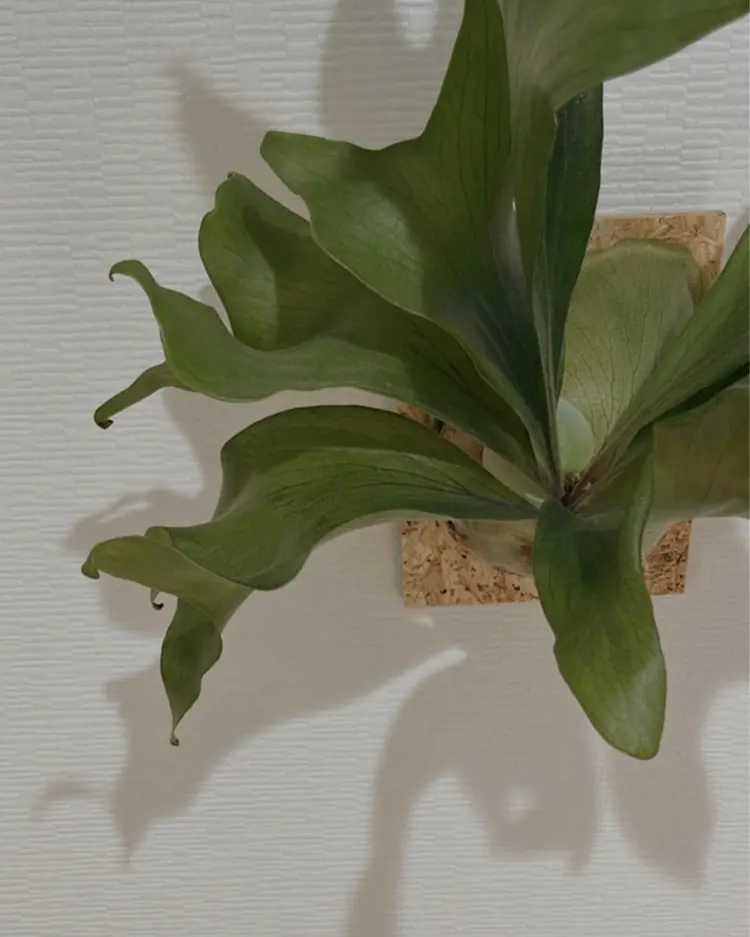 itoroの内観・外観2