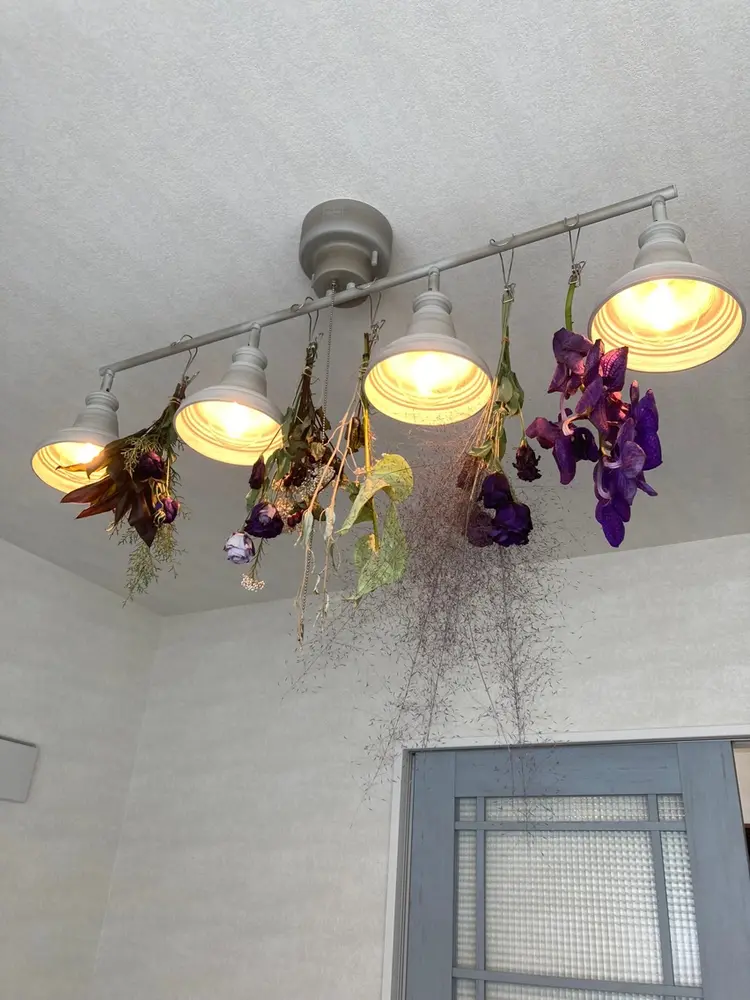 monreveの内観・外観3