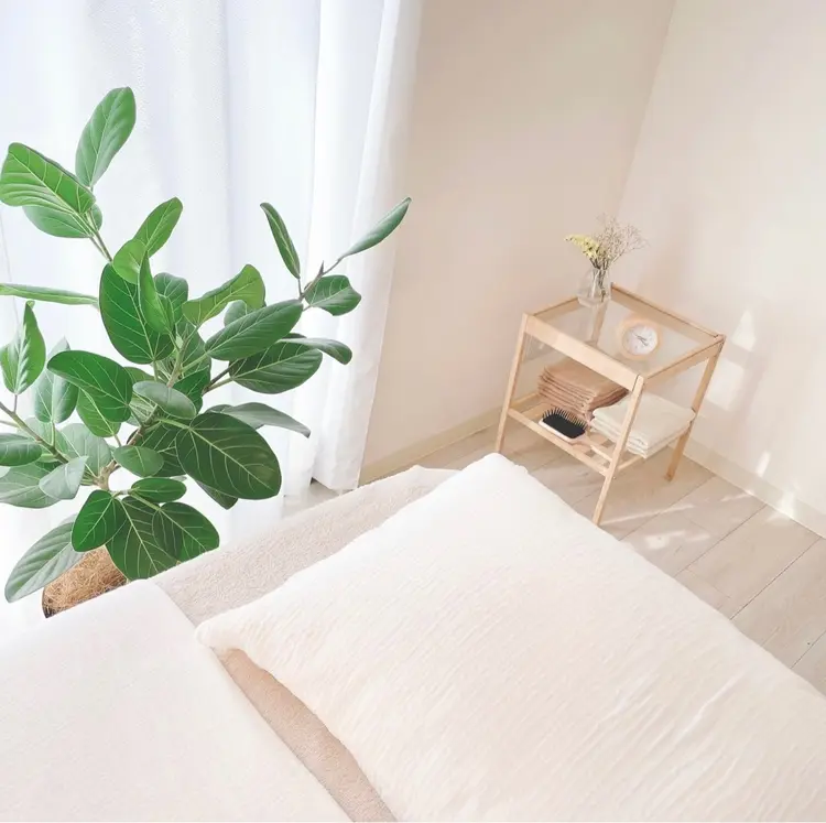 ant_uの内観・外観3