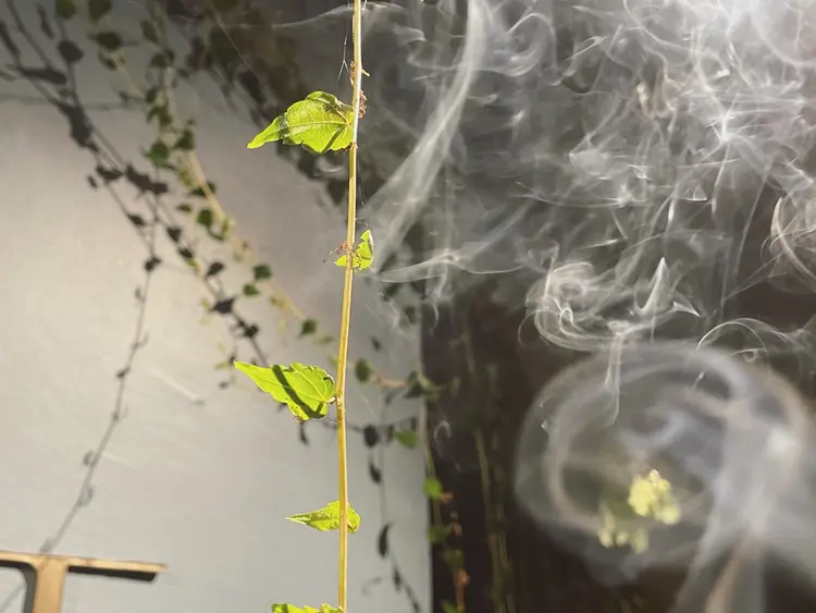 Loom.の内観・外観3