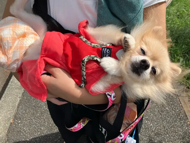 relax&nail  Rの内観・外観3