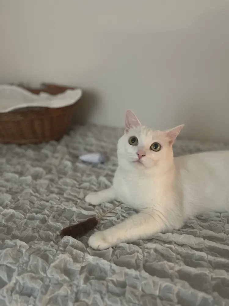 KilaKilaの内観・外観2