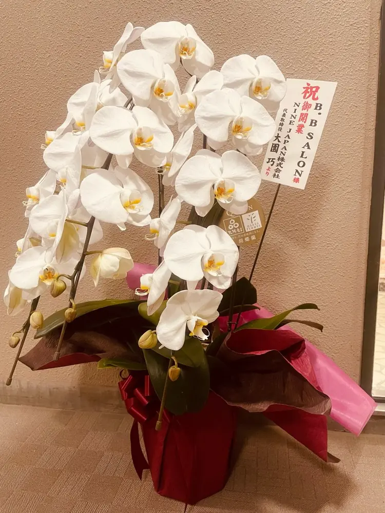 B.B  SALONの内観・外観1