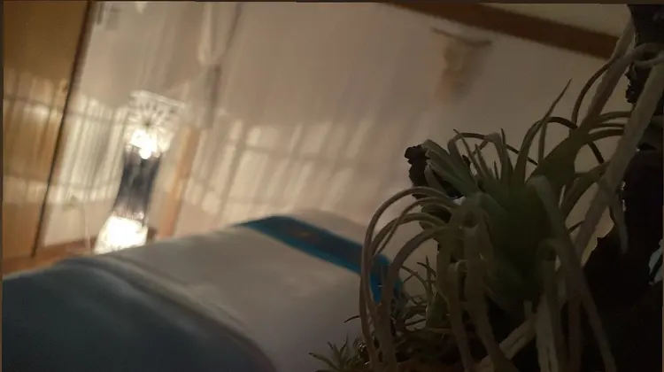 Coco Calinの内観・外観2