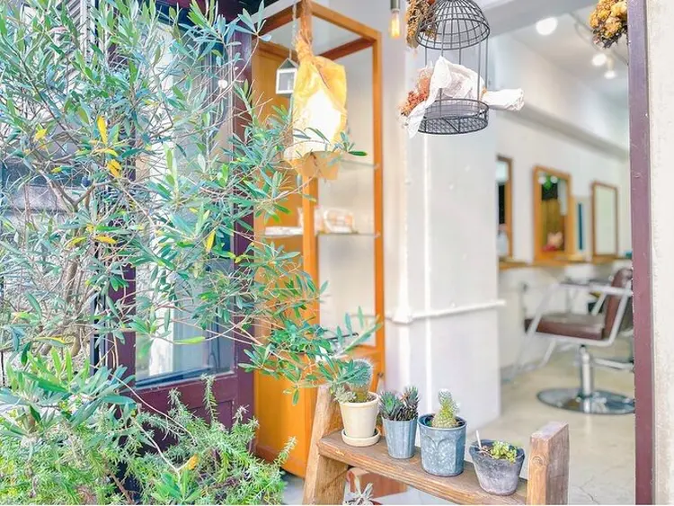 Riccaの内観・外観1