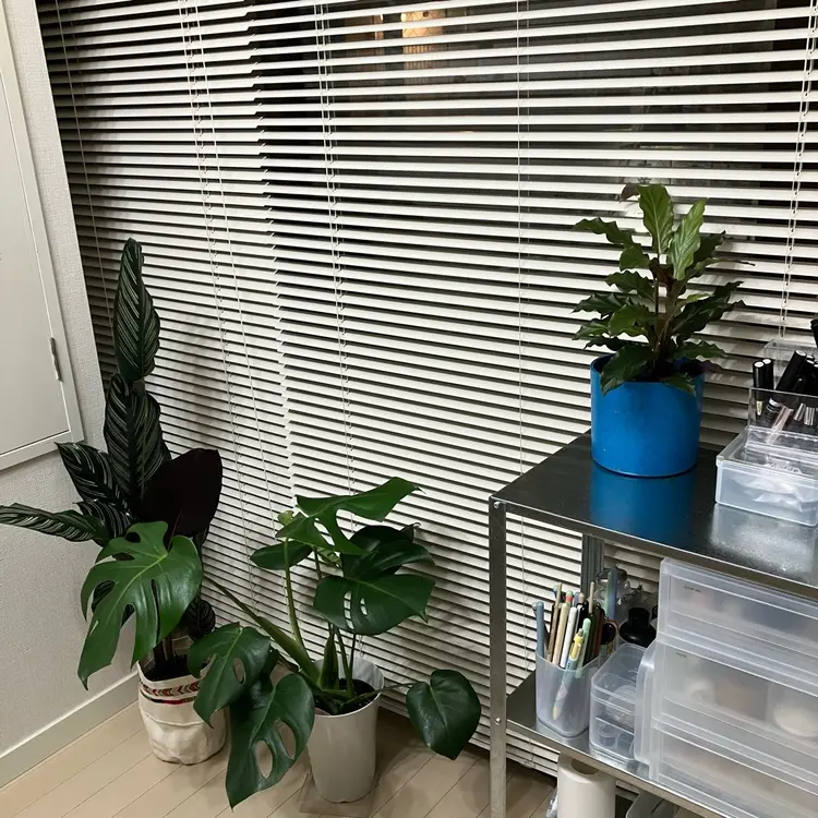 wanna nail designの内観・外観3