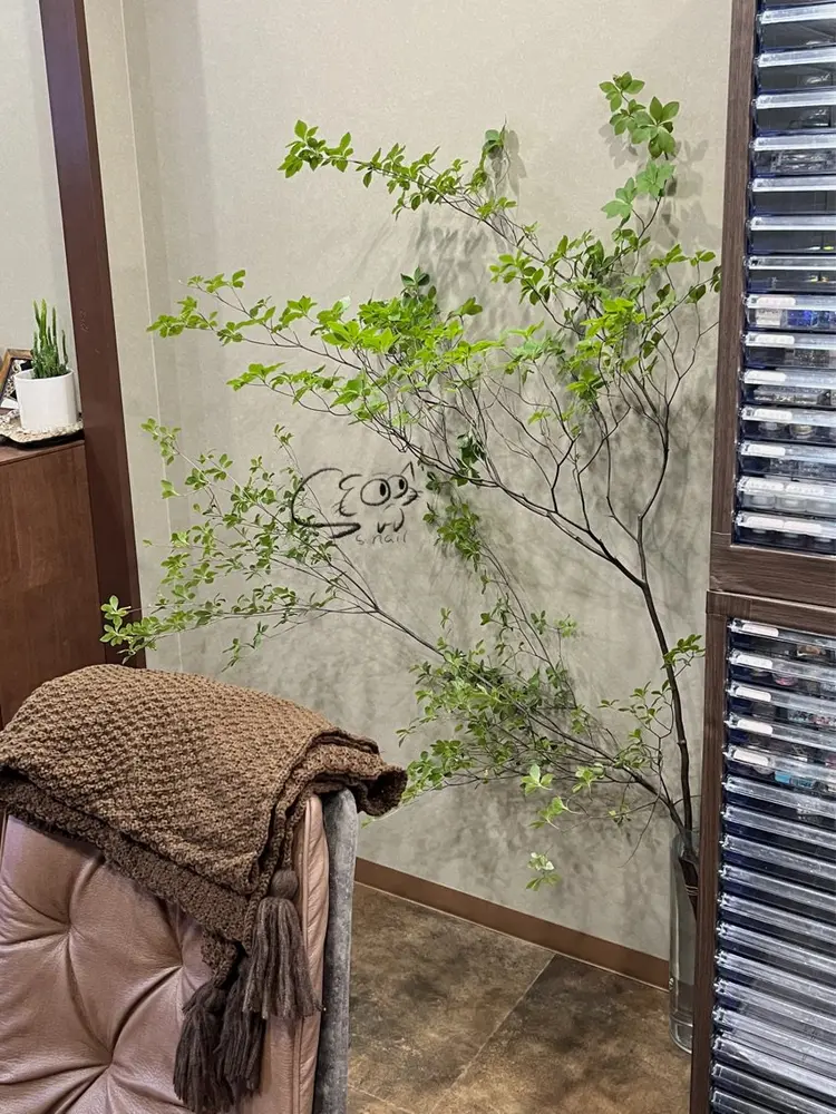 S.nailの内観・外観3