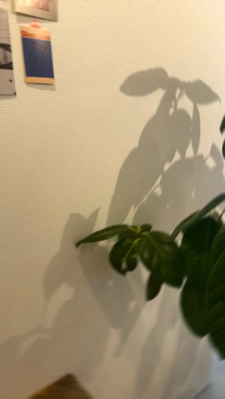 Signail＋の内観・外観3