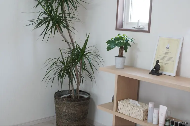 salon NICOの内観・外観3