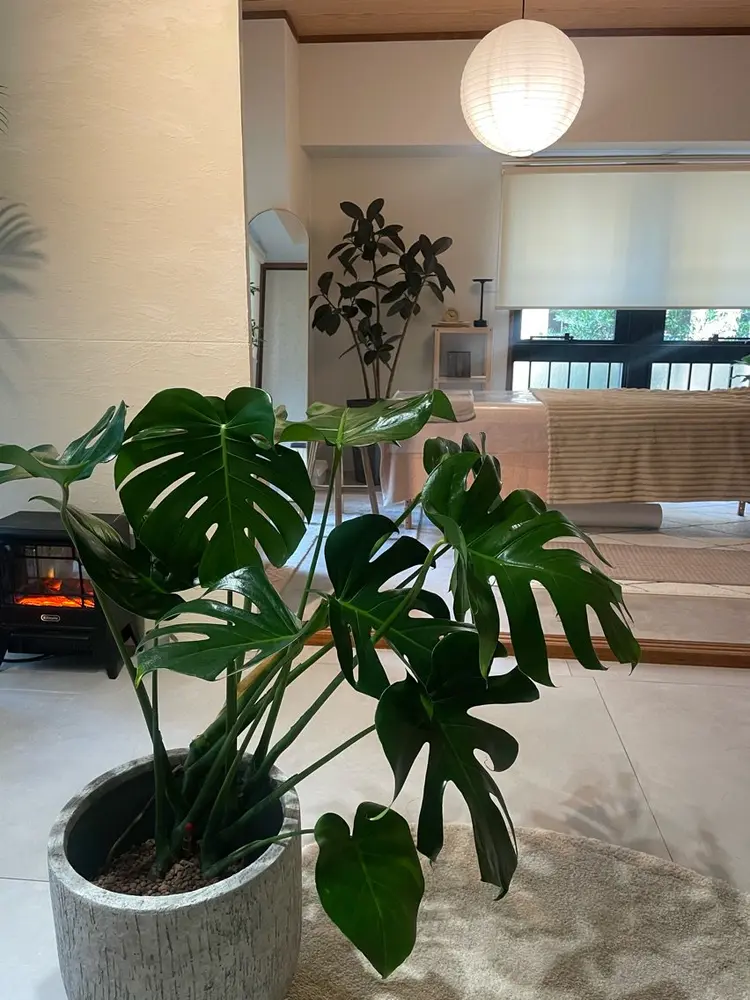 リンパサロン&よもぎ蒸し YURAKU＋の内観・外観2