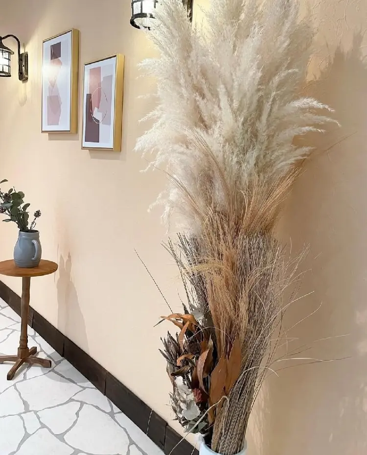 Chipie by Belleの内観・外観1