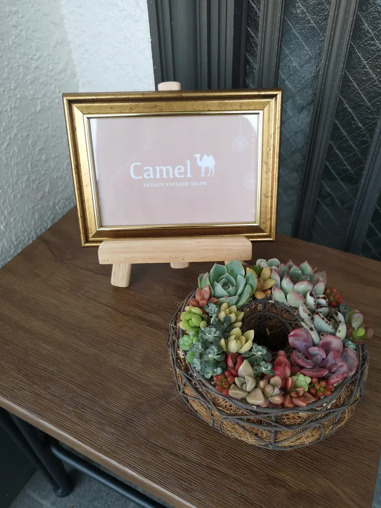 Eyelash Salon Camelの内観・外観2