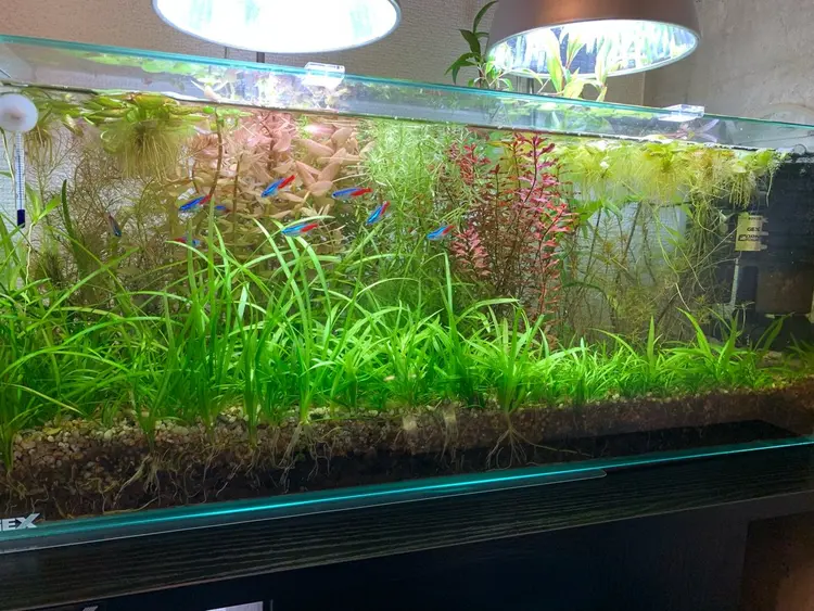 John Glasgowの内観・外観2