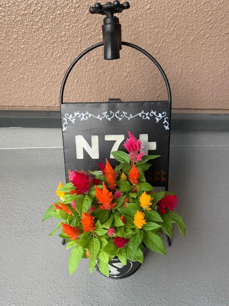 Ｎ７＋の内観・外観2