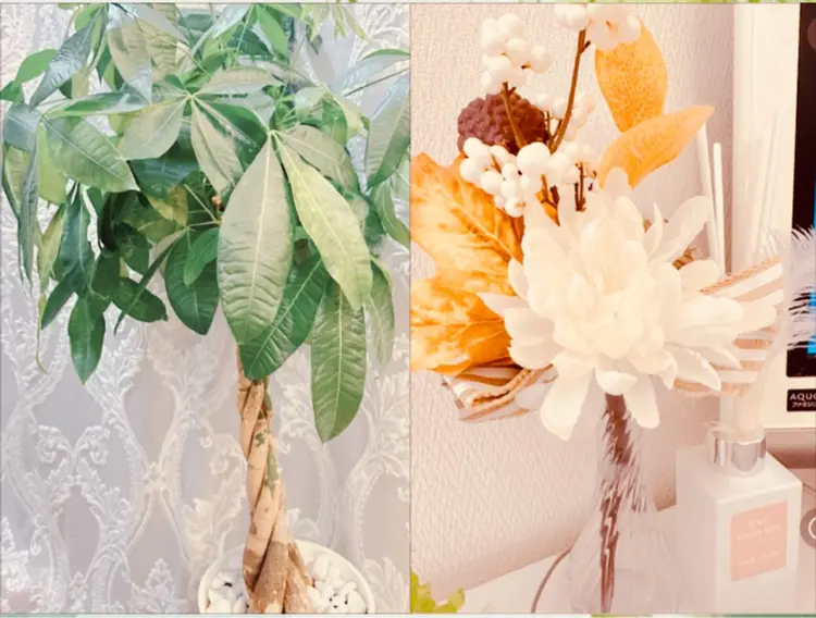 LUCIA(ルシア）の内観・外観3